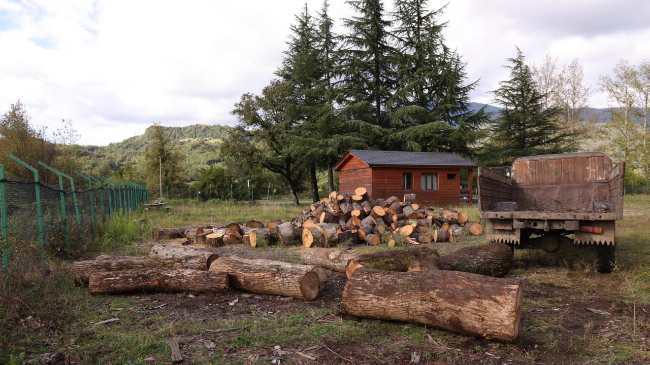 ეროვნული სატყეო სააგენტო