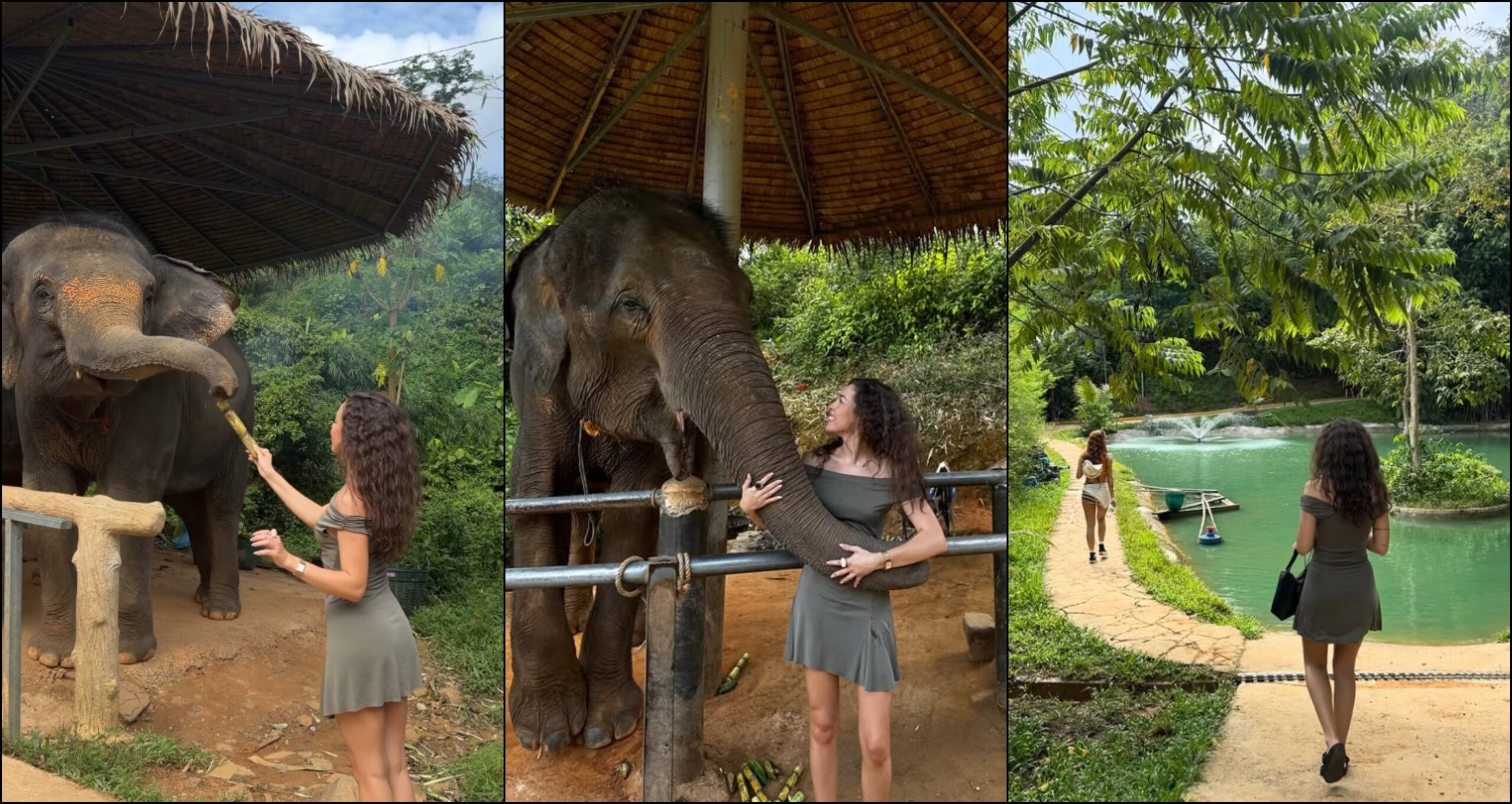 BeFunky-collage123412 3 4sdf (9)