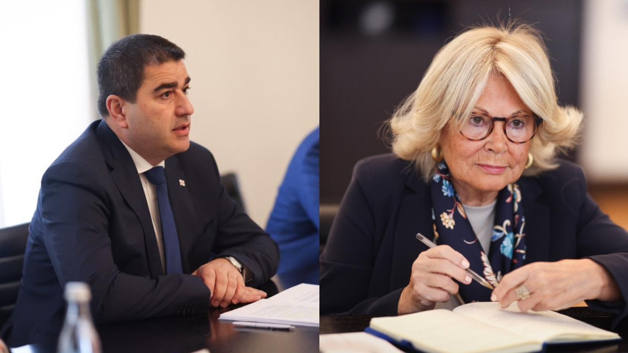 შეხვედრა მონიტორინგის კომიტეტის თანამომხსნებლთან