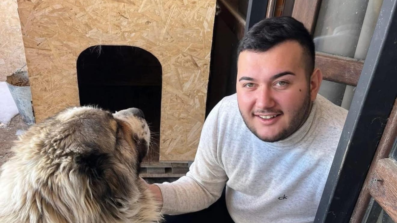 2025-11-21_00-28-08_333716