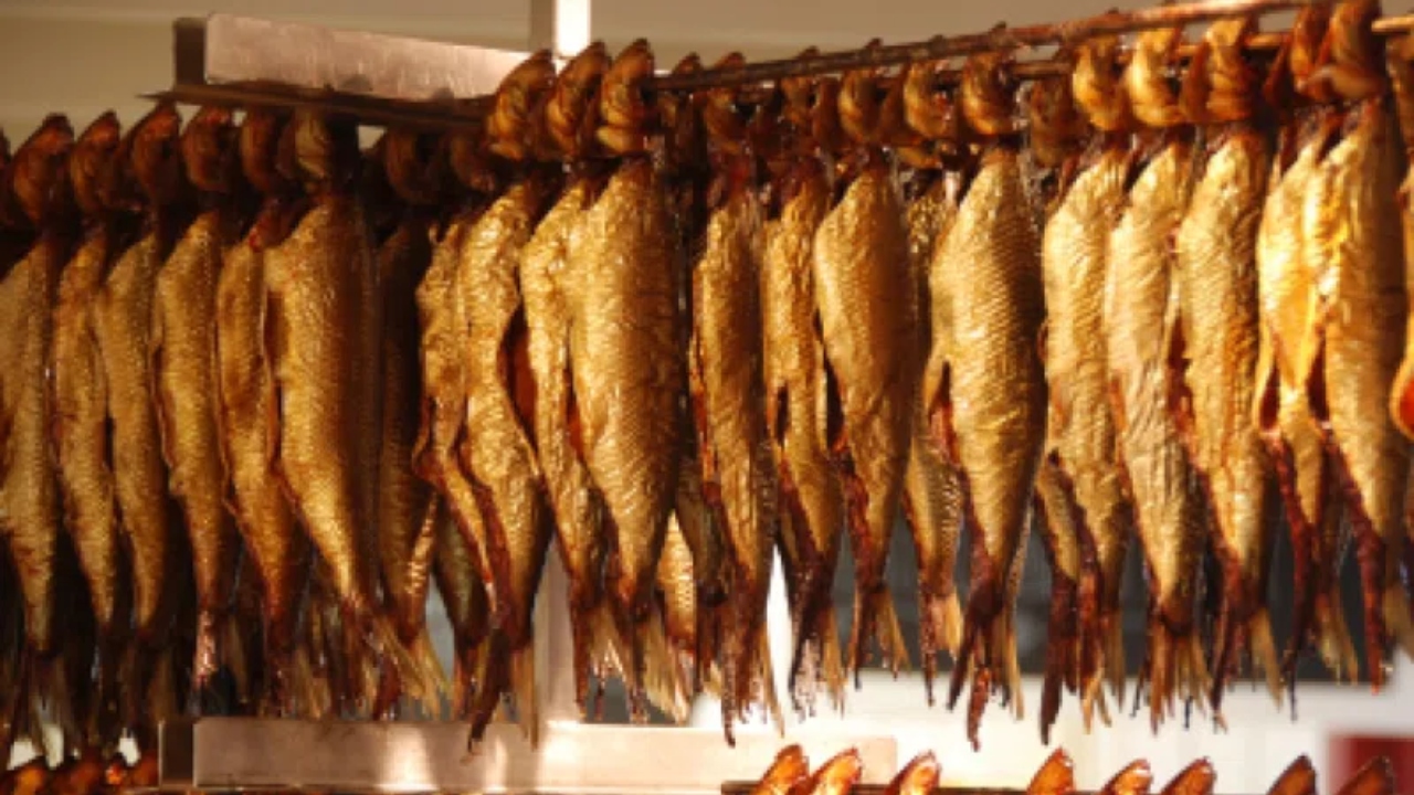 2025-11-21_02-19-57_491839