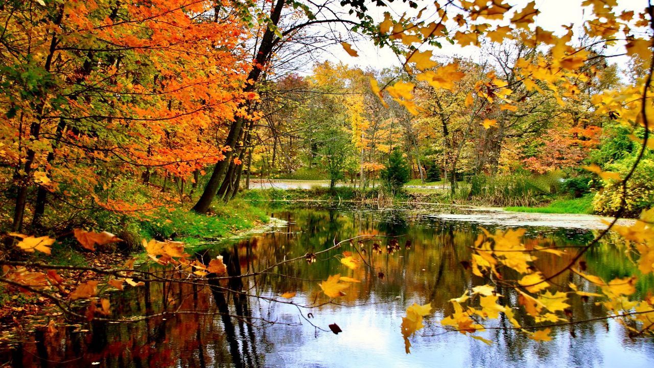 ამინდის პროგნოზი