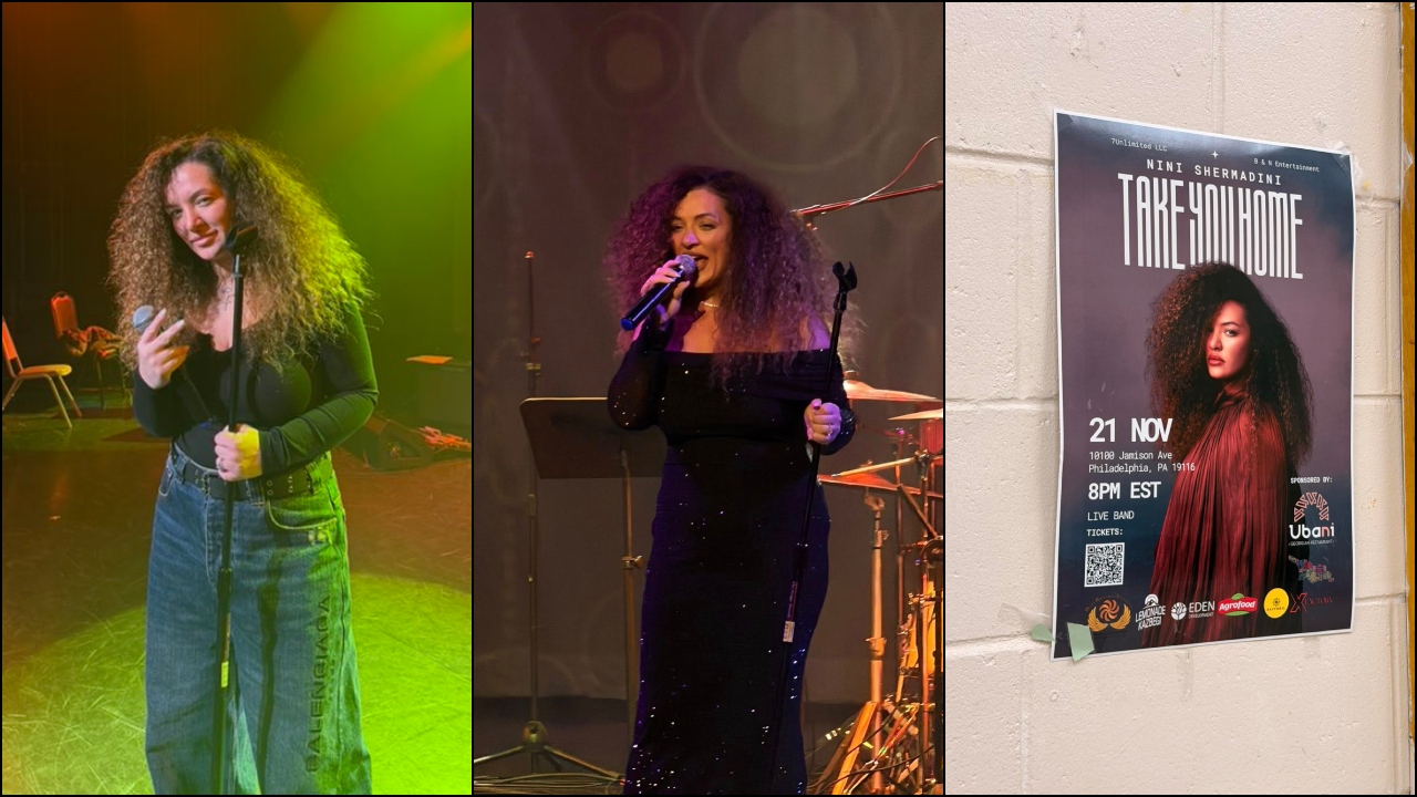 ნინი შერმადინი