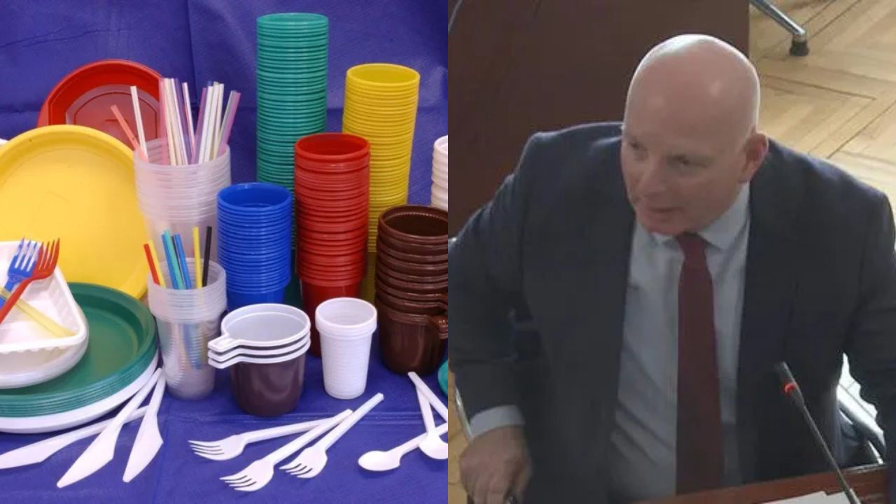 ერთჯერადი მოხმარების ნივთები