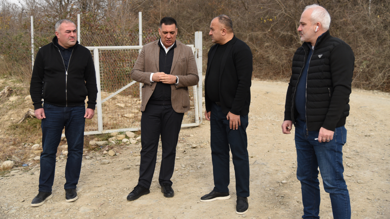 მიხეილ გოგოლიძე