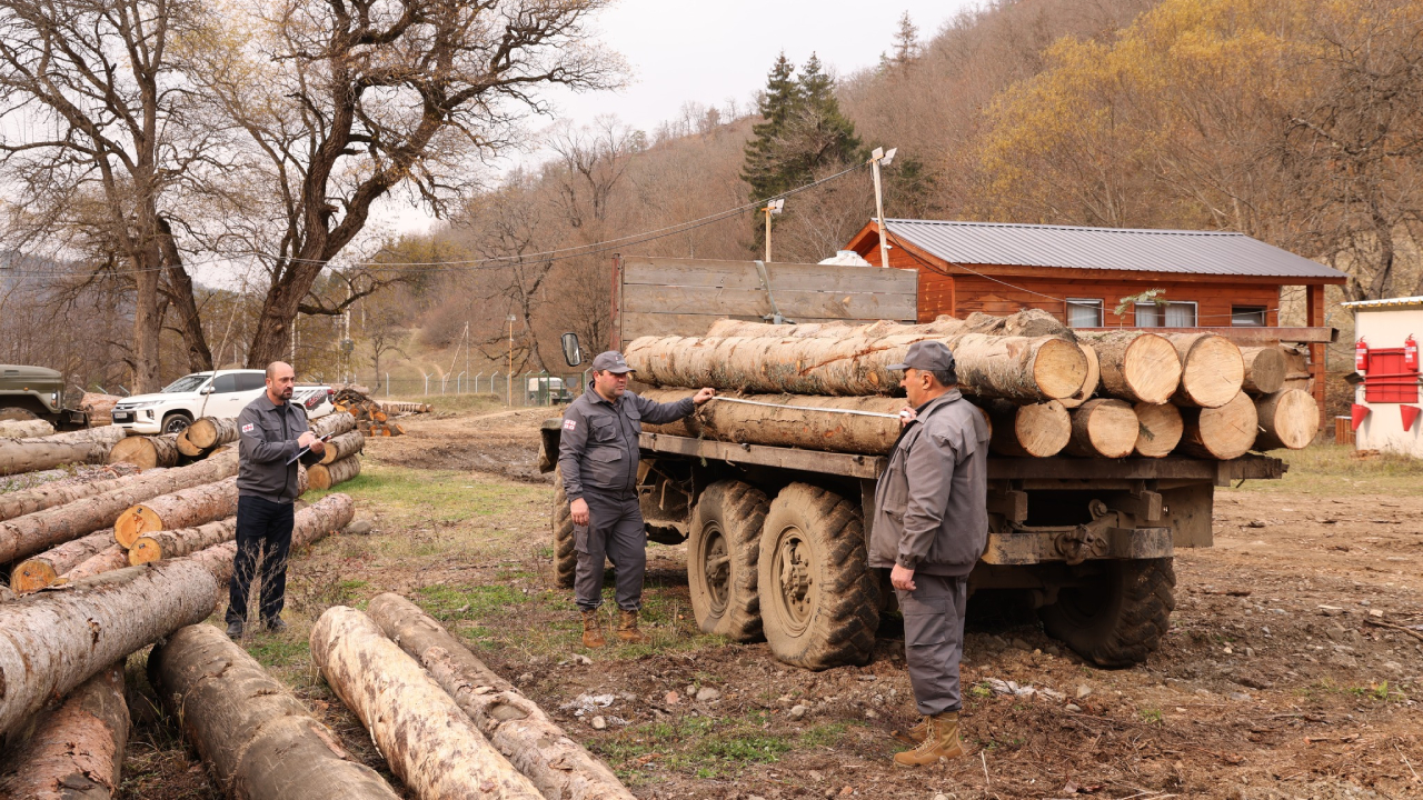 ხე-ტყის უკანონო მოპოვება