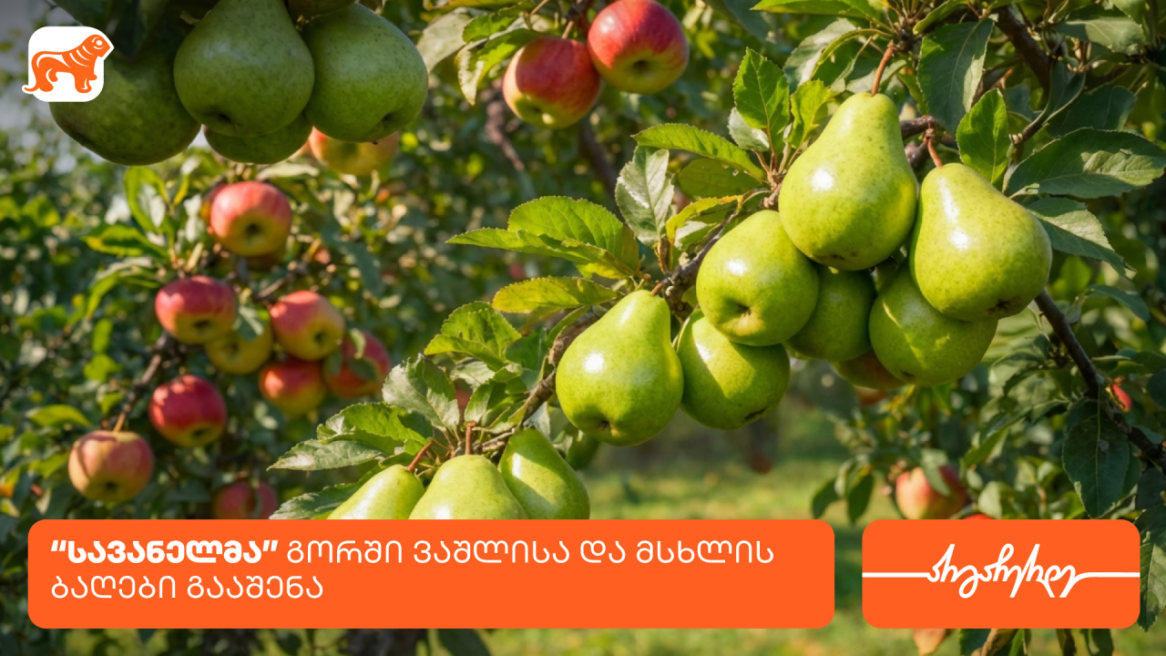 საქართველოს ბანკი