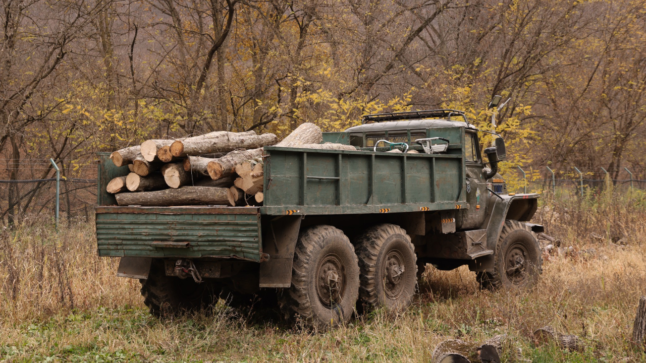 ხე-ტყის უკანონო მოპოვება
