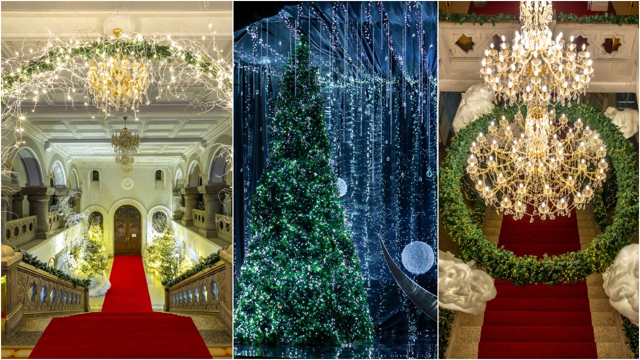 კავკასიის უნივერსიტეტი