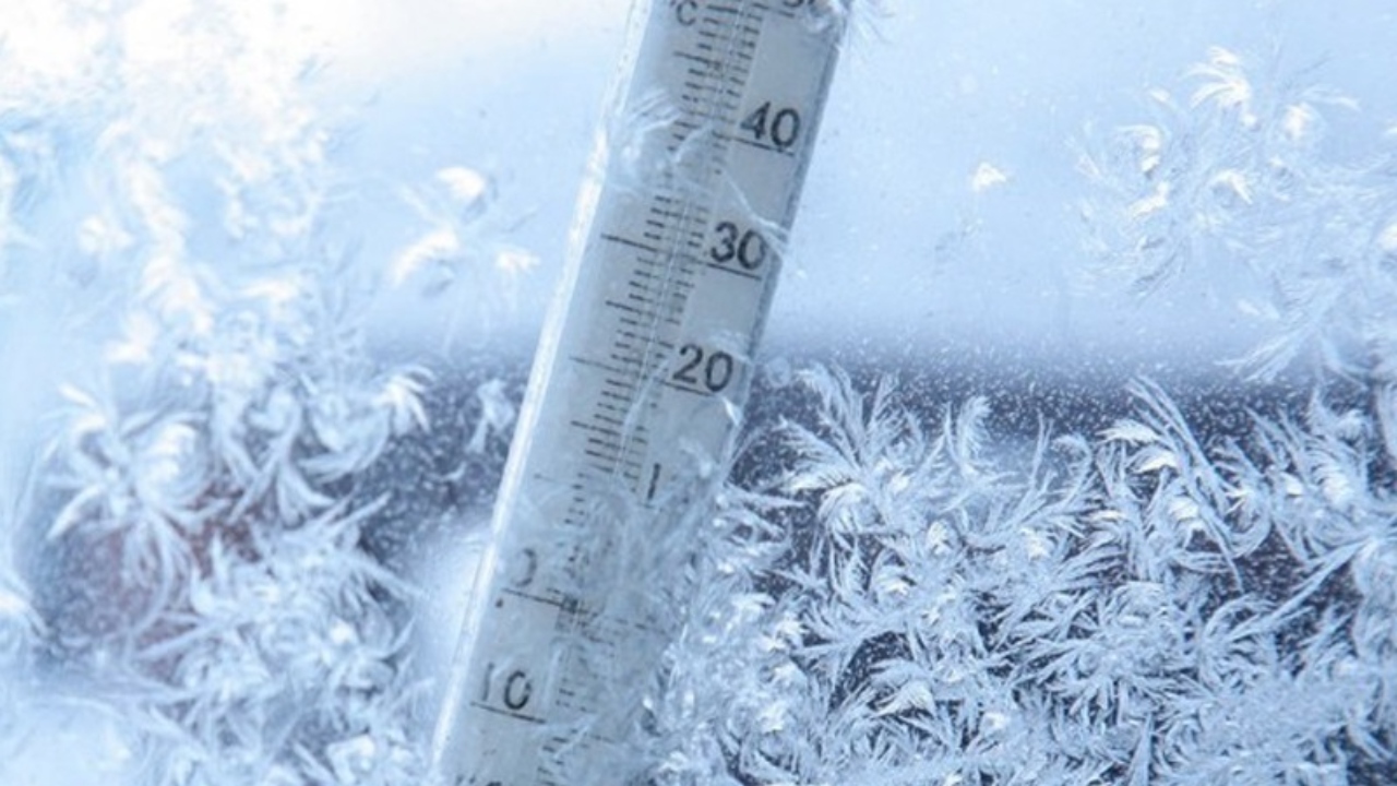 BeFunky-collage - 2025-12-07T233052.470