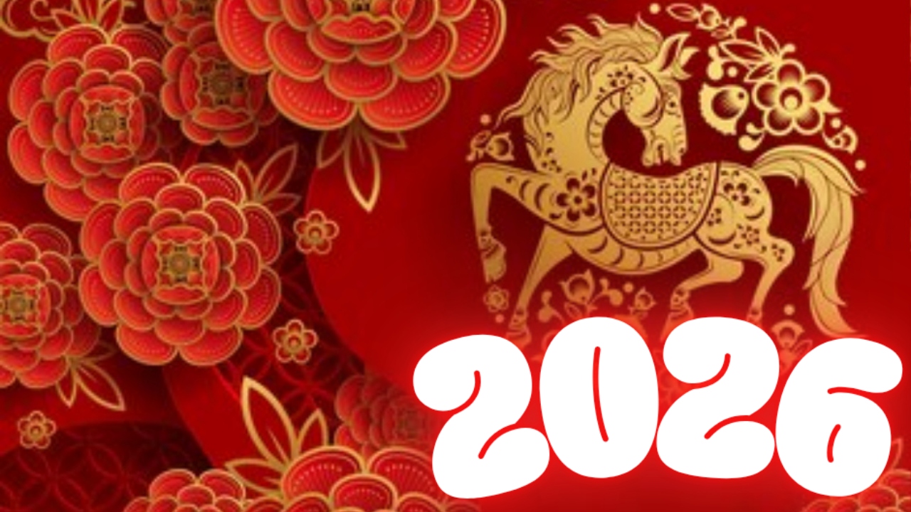 2025-12-08_00-41-51_724511