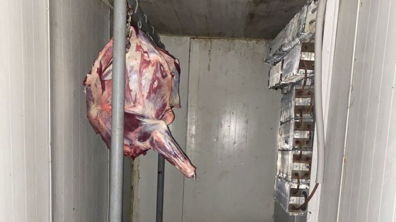 ცხოველთა სასაკლაო