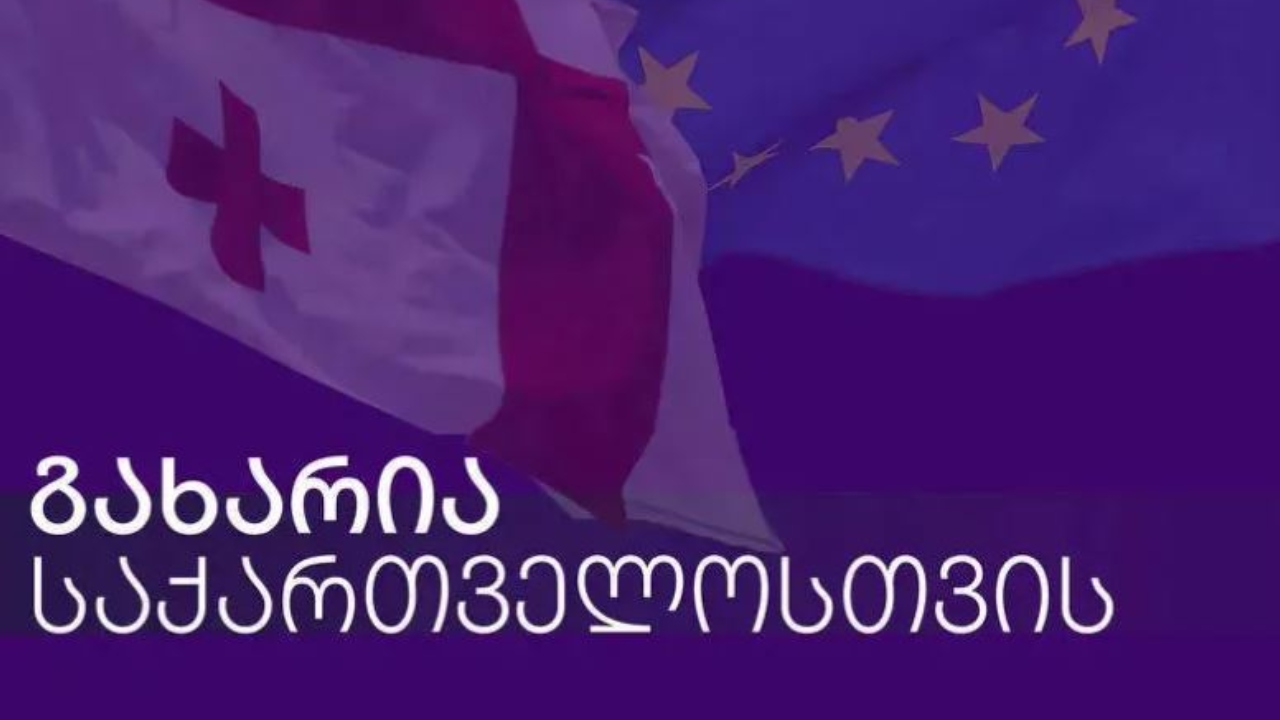 გახარია საქართველოსთვის