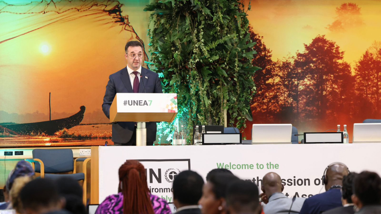 დავით სონღულაშვილი