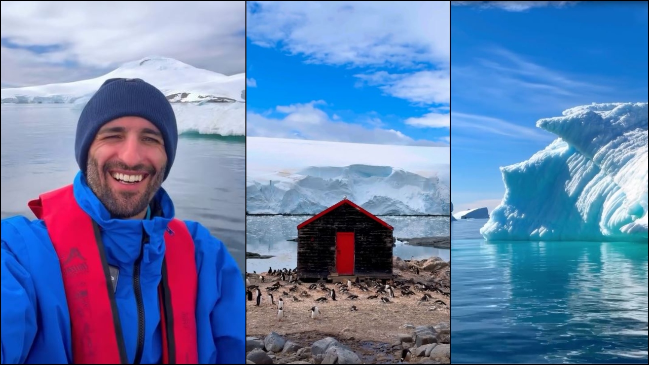 სოსო ნებიერიძე