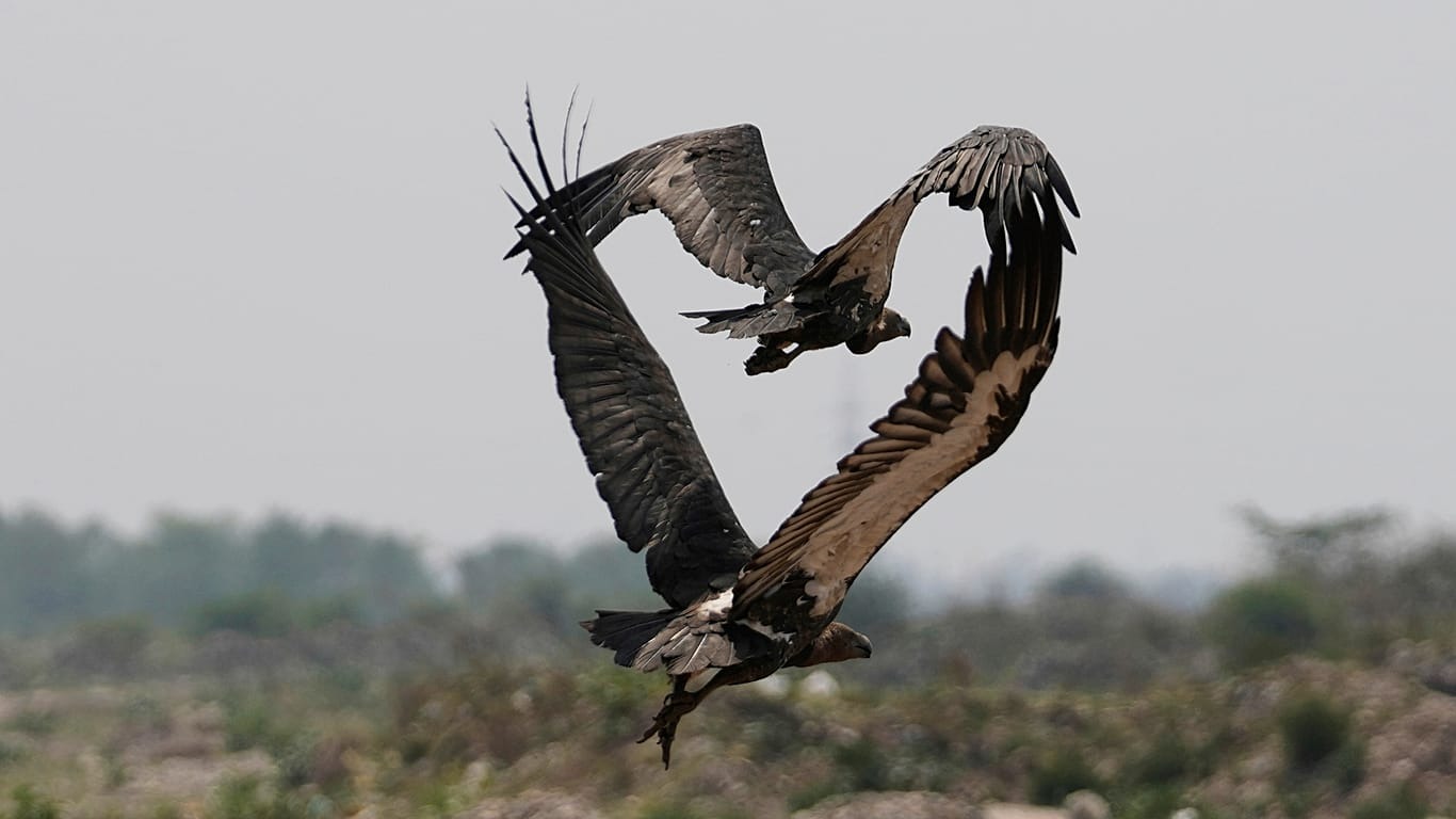 1366x768_cmsv2_695995d8-e457-591