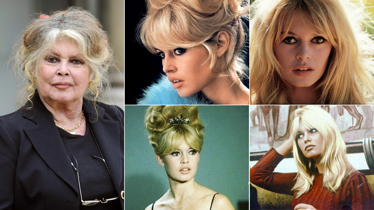 ბრიჯიტ ბარდო