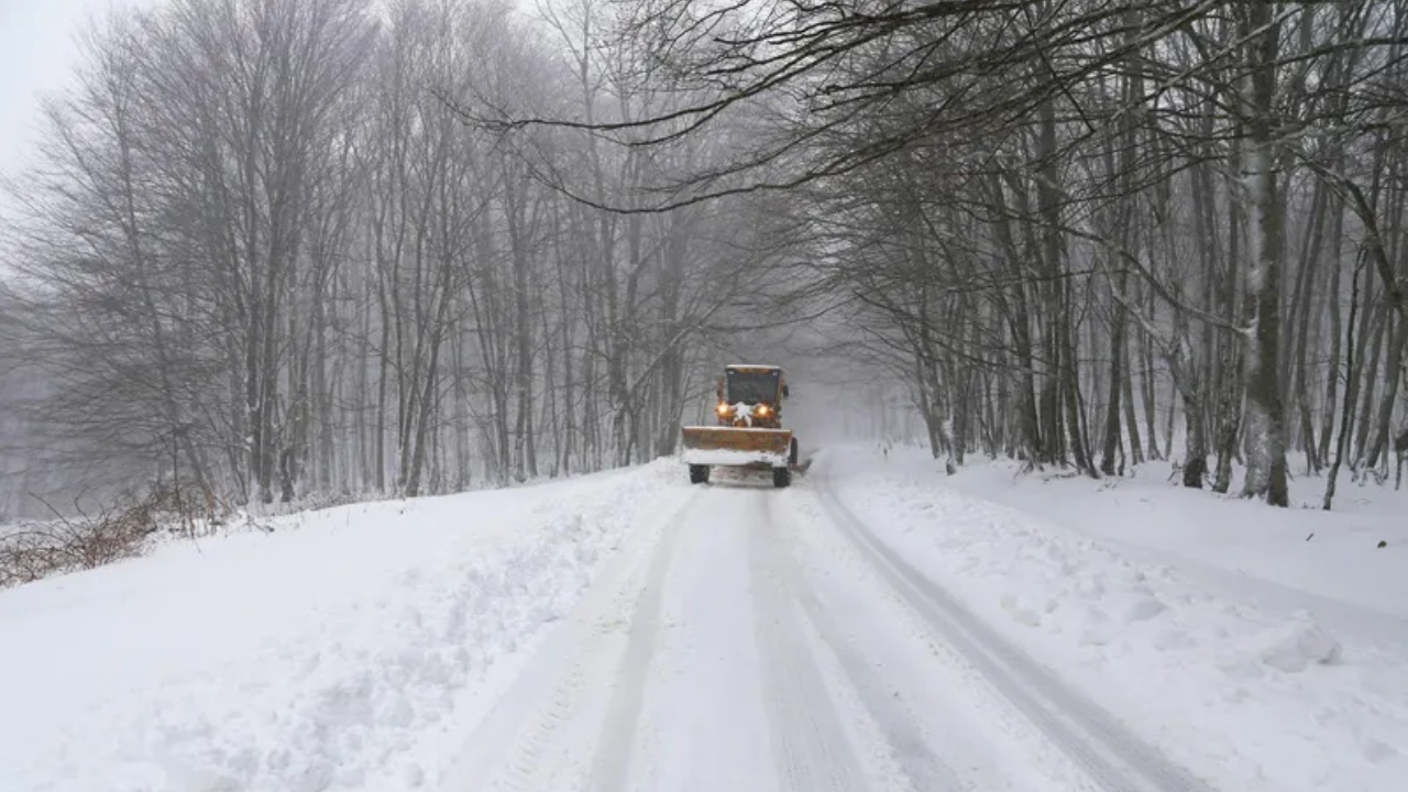 2025-12-29_23-00-03_239751