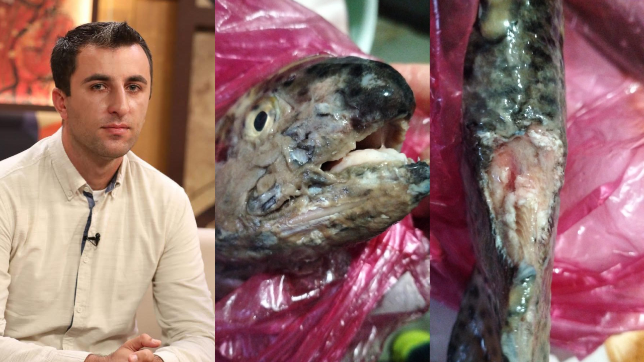 ირაკლი არაბული