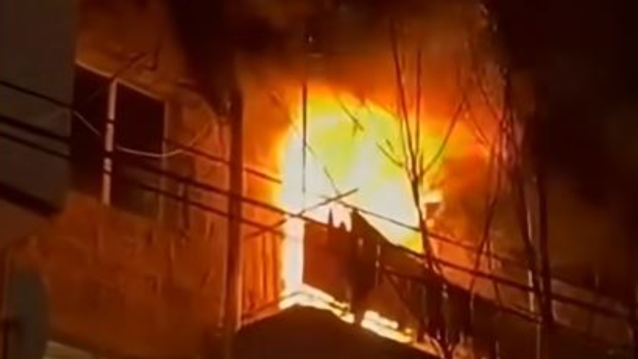 BeFunky-collage - 2026-01-06T010426.480