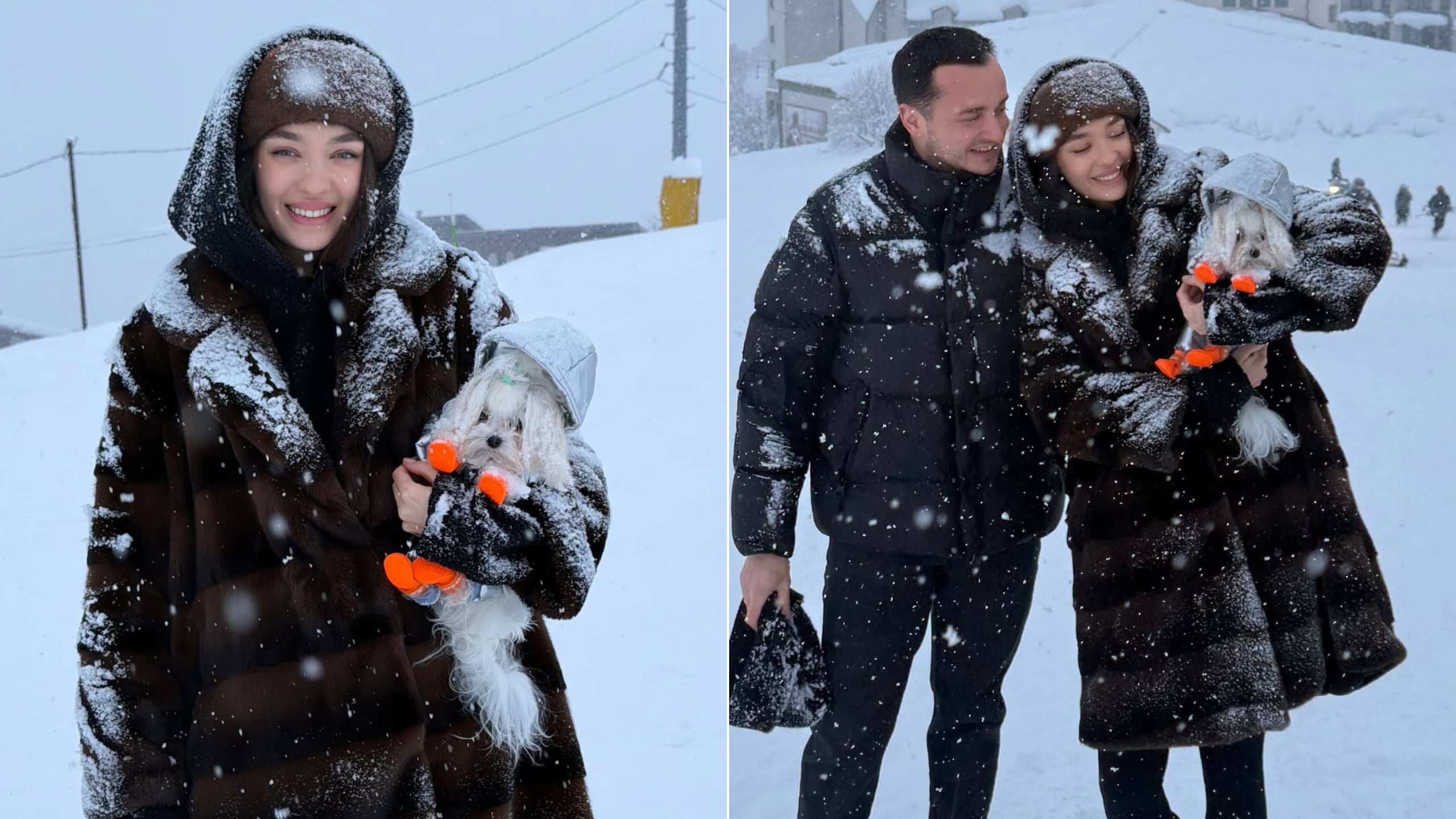 1d870e0c-37b9-4819-bea3-8431605d6192 (1)