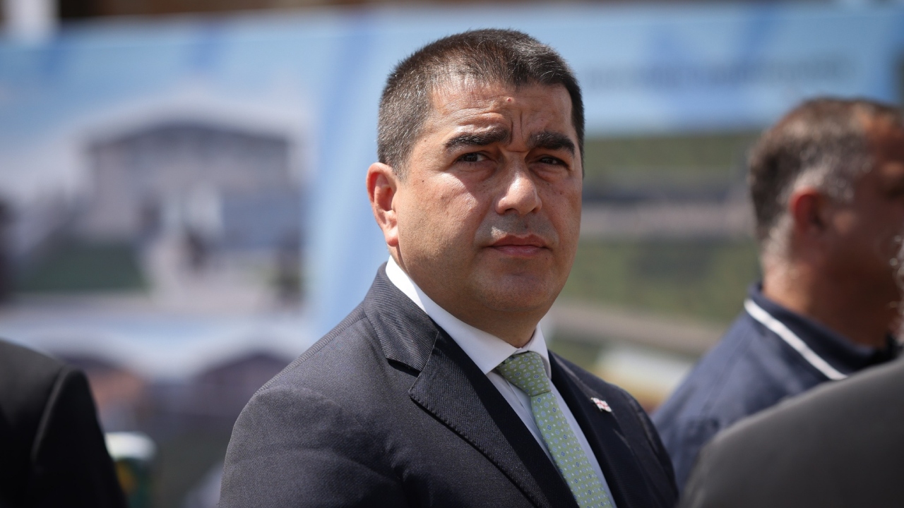 შალვა პაპუაშვილი