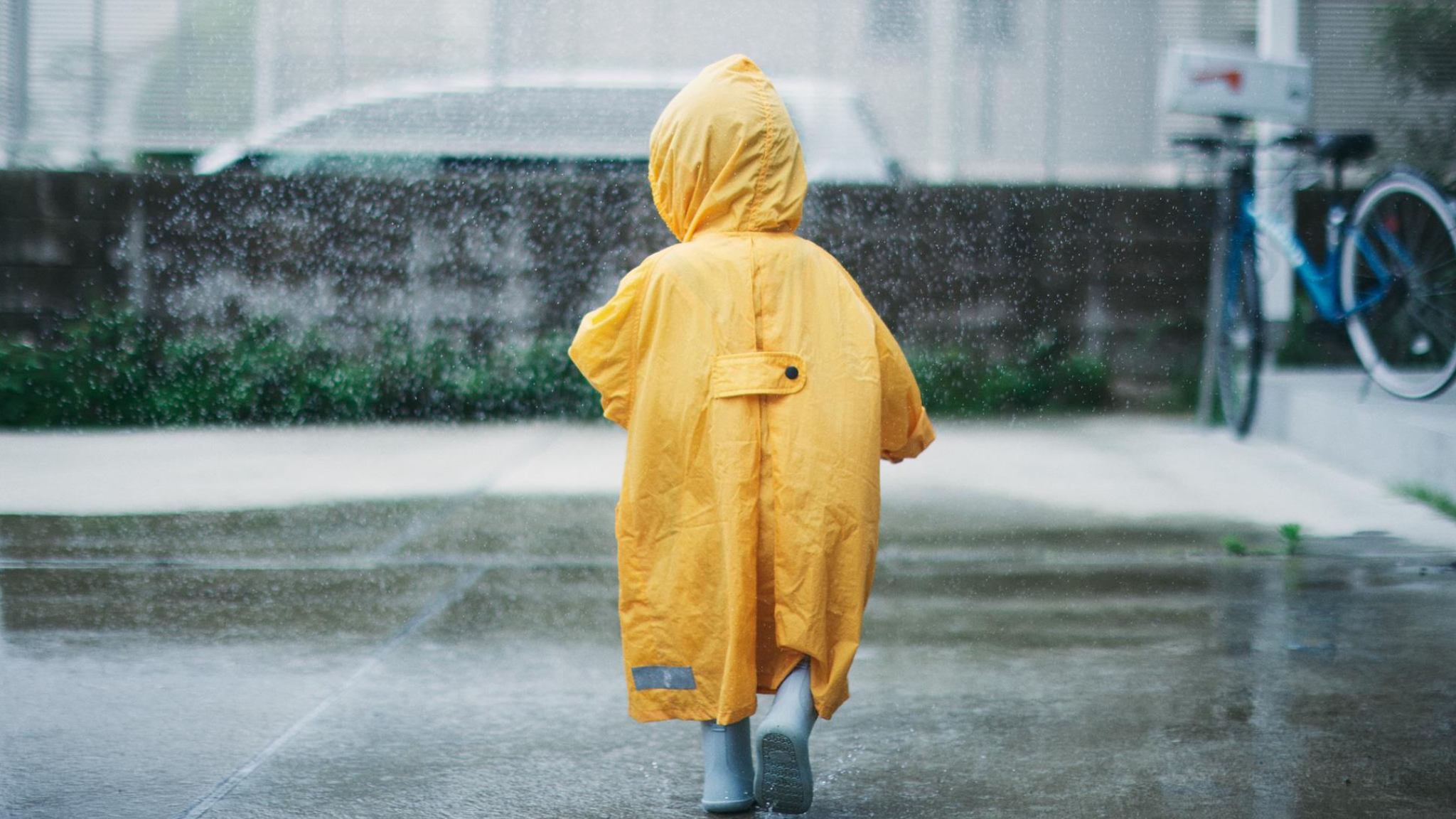 ქირიას NEWS შაბლონი