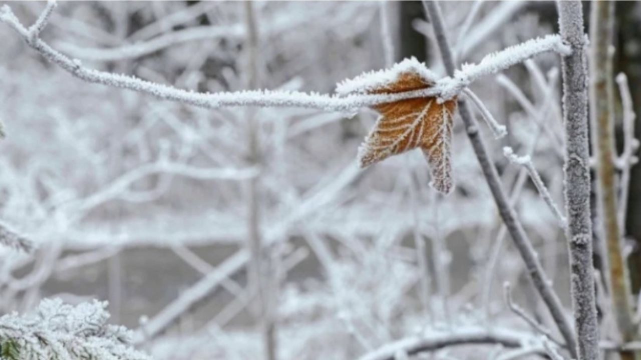 ამინდის პროგნოზი