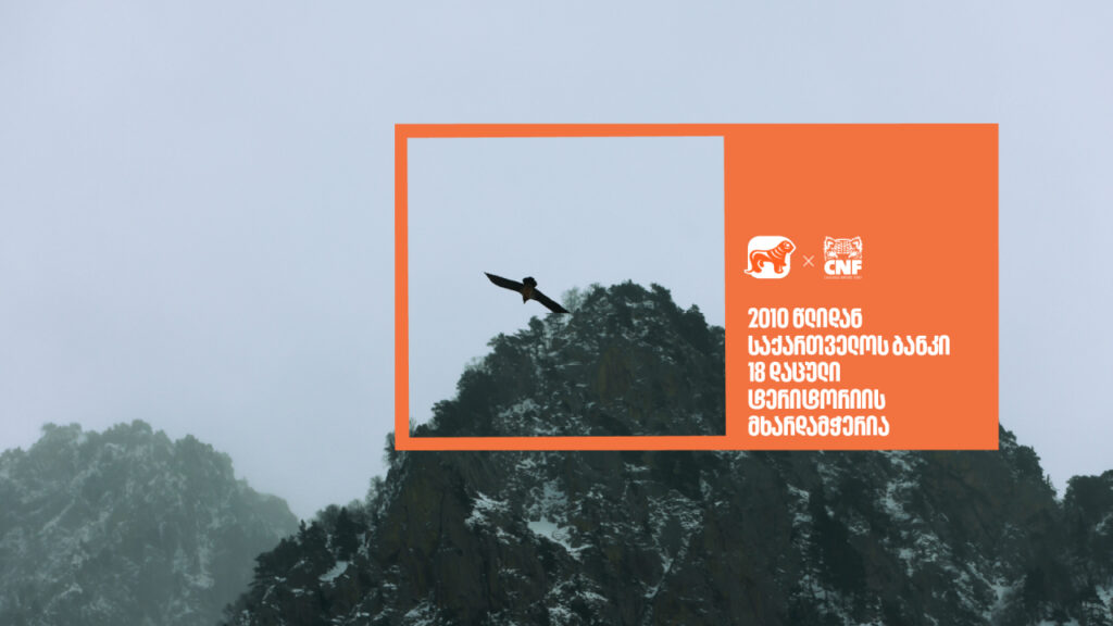 საქართველოს ბანკი 2010 წლიდან 18 დაცული ტერიტორიის მხარდამჭერია