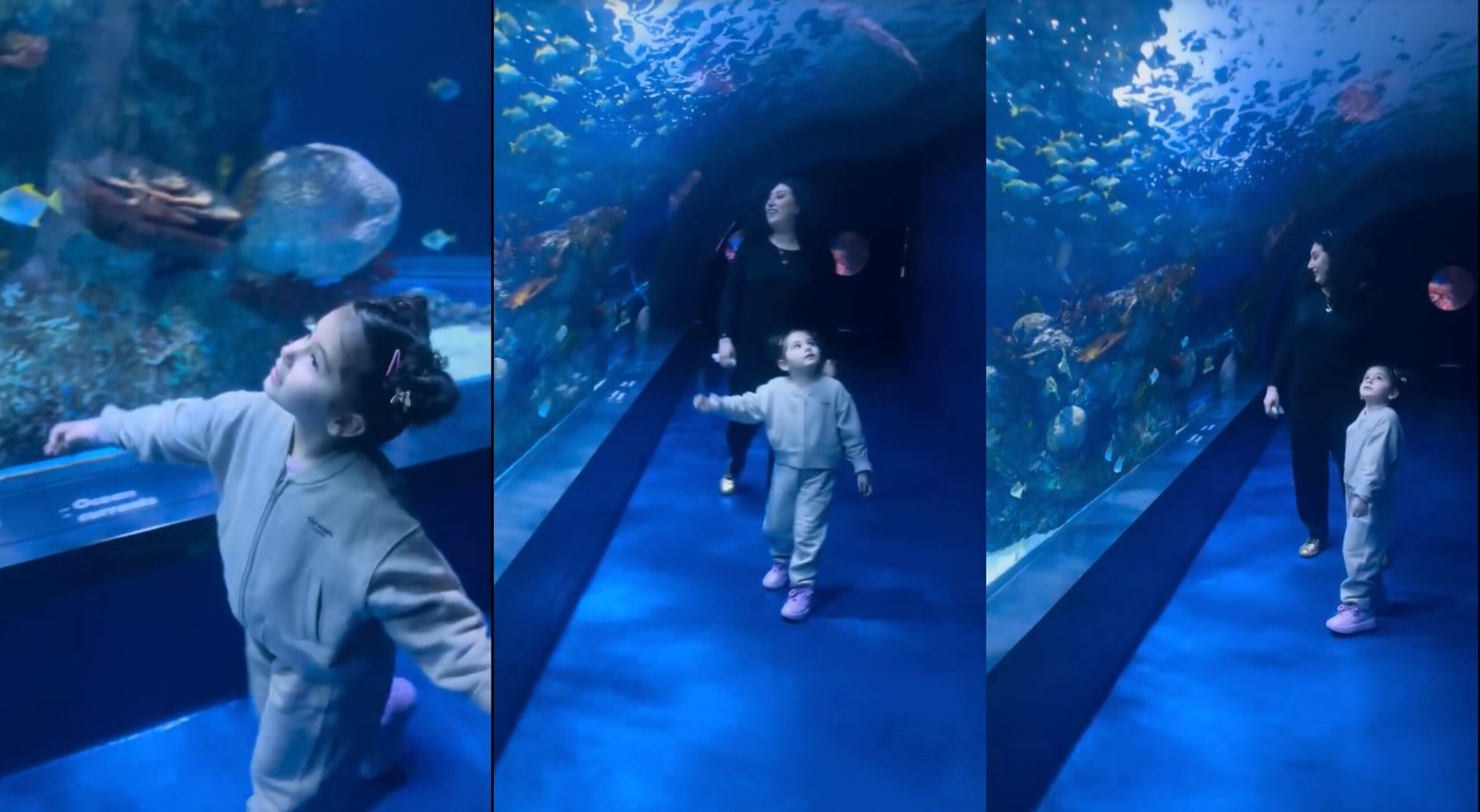 პაპუაშვილი, კირცხალია, კობახიძე (1)