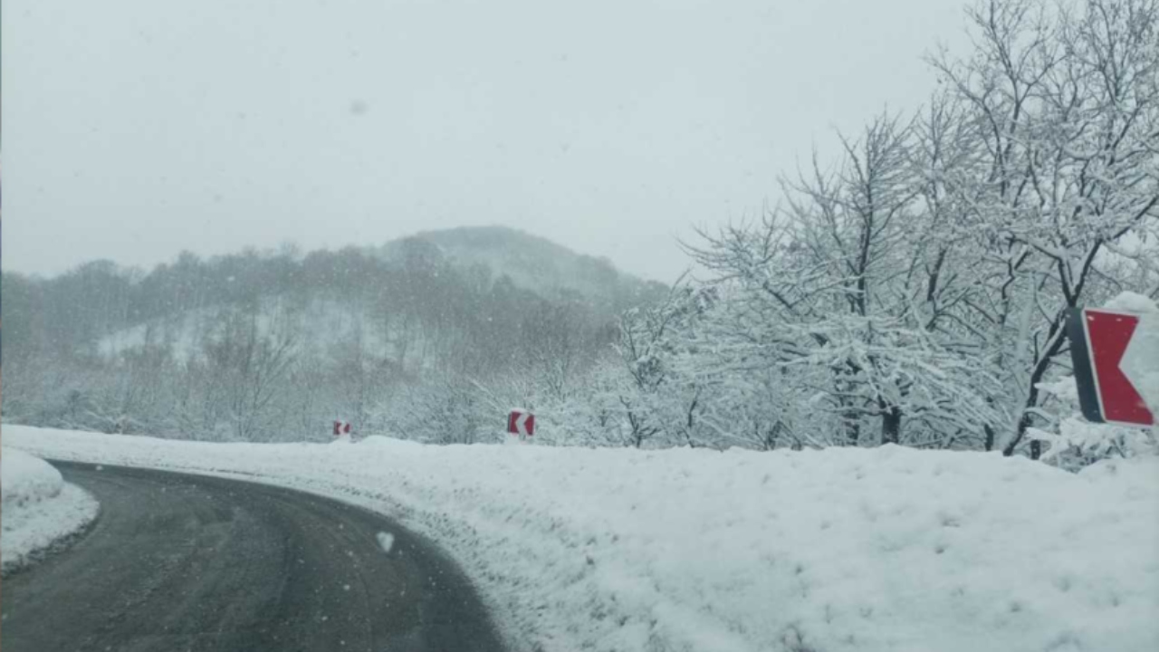 2026-02-11_01-57-31_040785