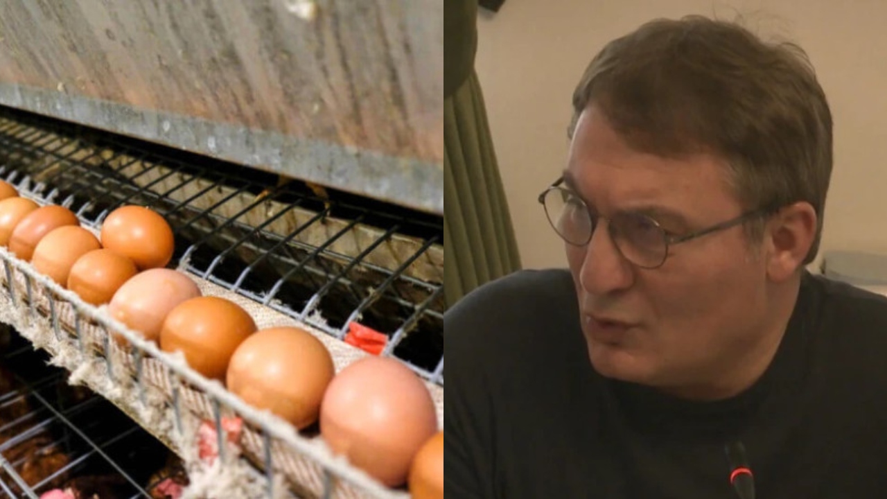 გია ლობჟანიძე (1)