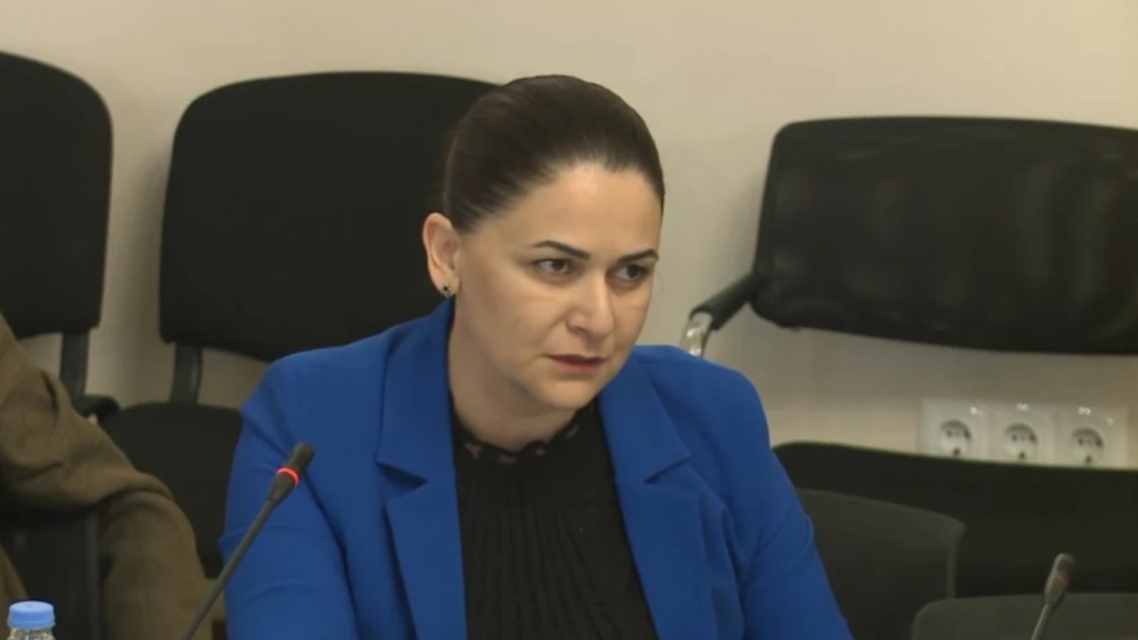 ნათია გარგულია