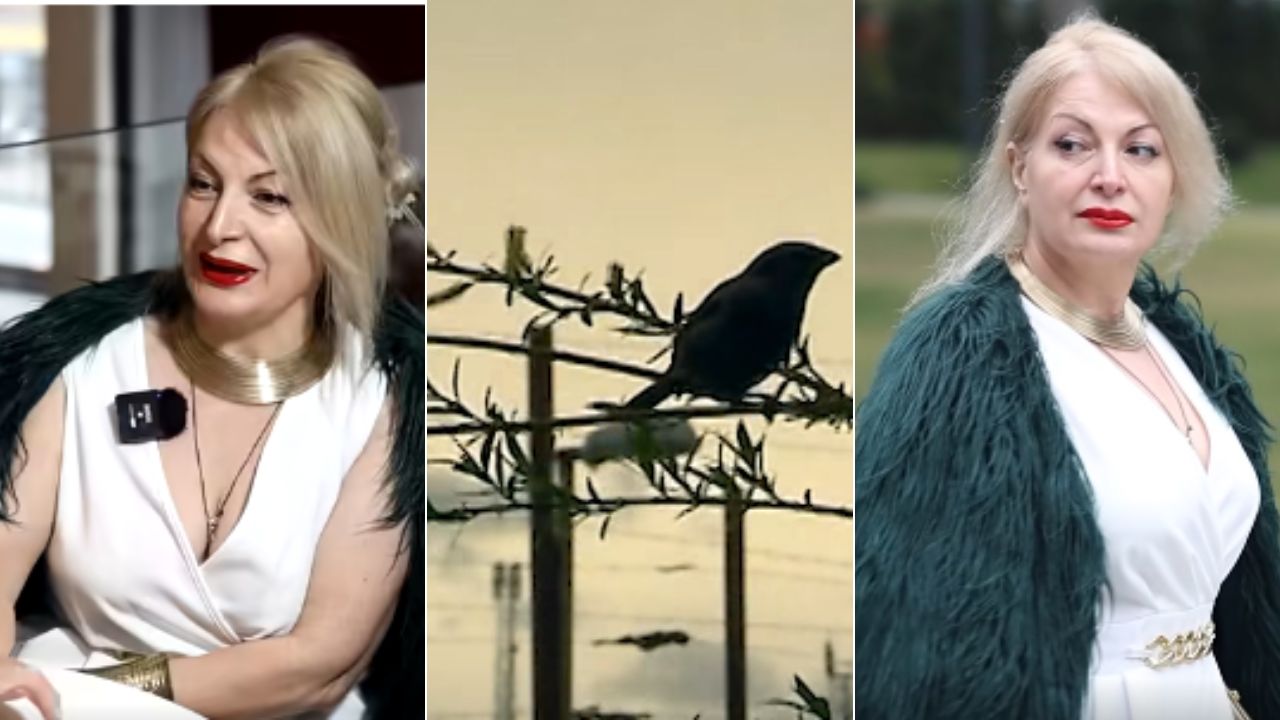 ხატია წერეთელი