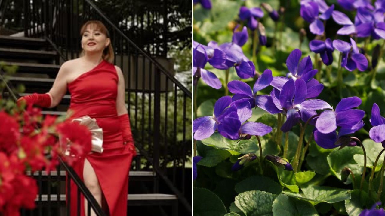 სამი მარტი