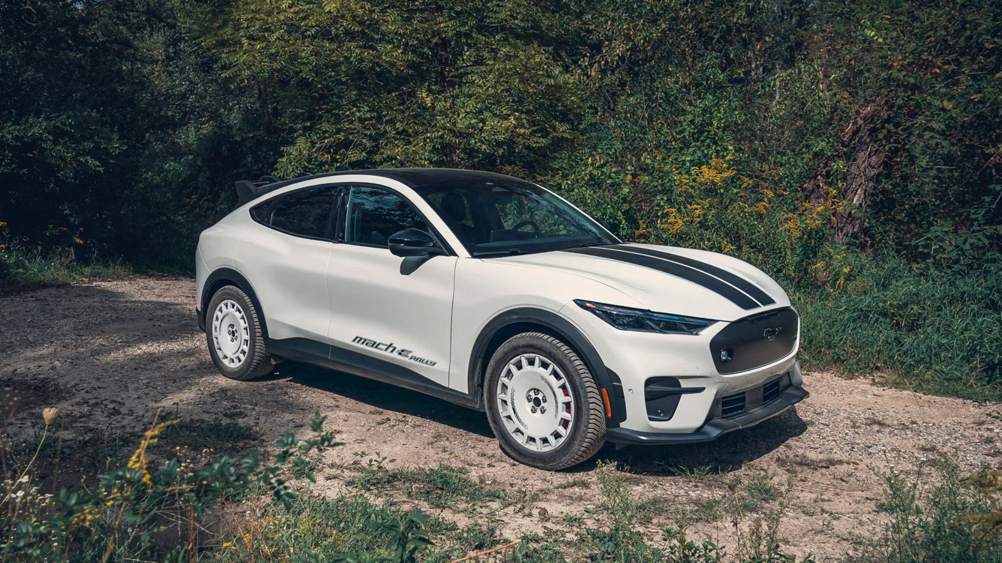 ქირიას NEWS შაბლონი (3)