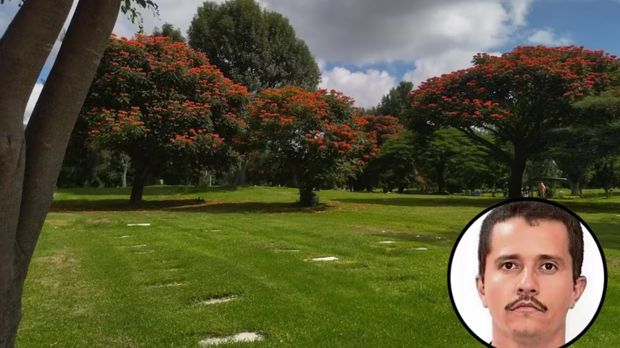 ქირიას NEWS შაბლონი