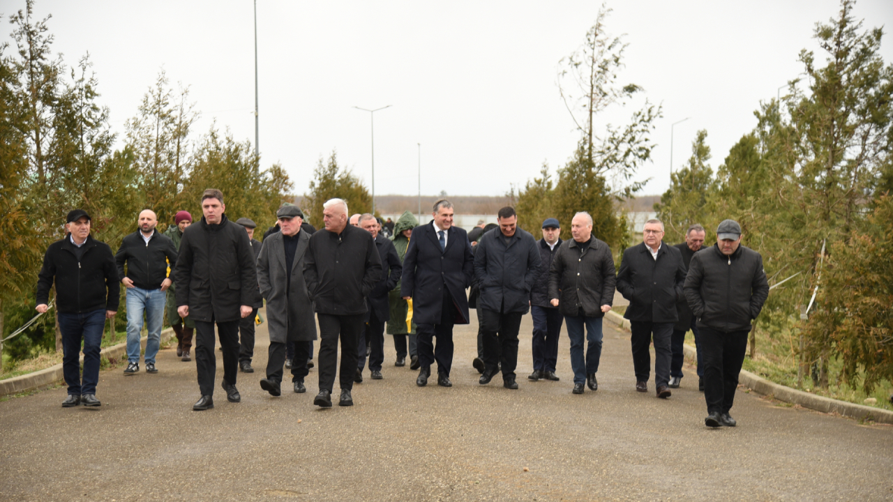 სოლომონ პავლიაშვილი