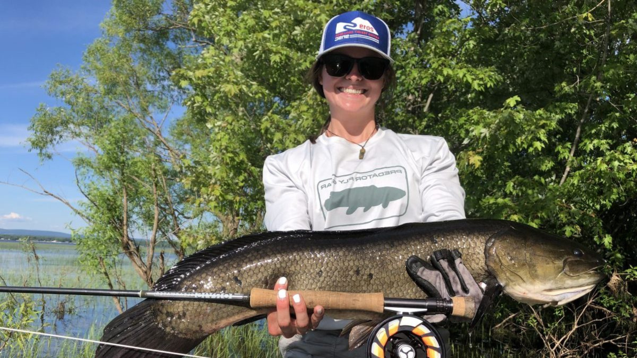 ქირიას NEWS შაბლონი (2)