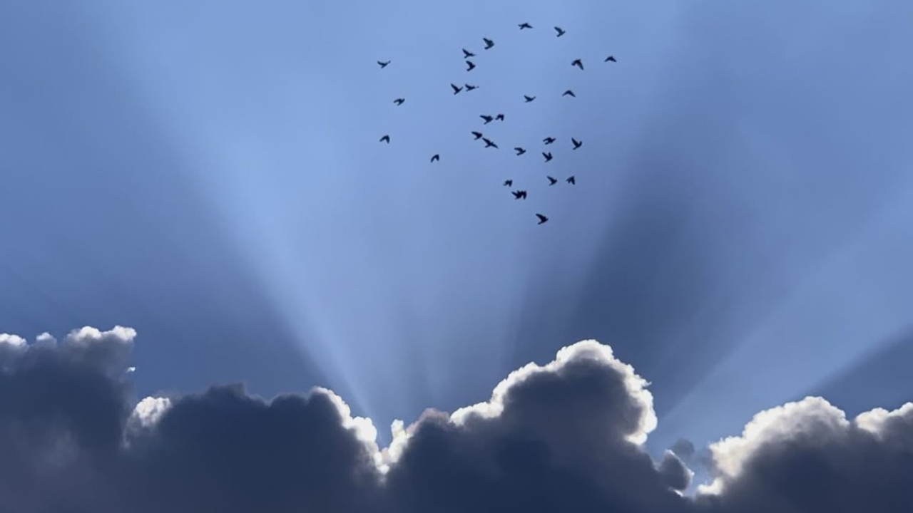 2026-03-15_00-01-58_558802