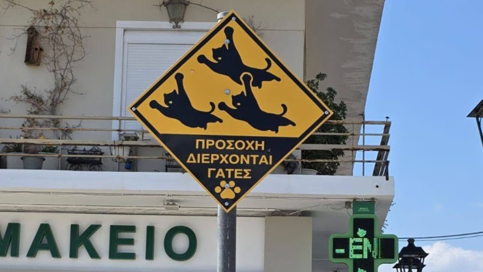 ქირიას NEWS შაბლონი (1)