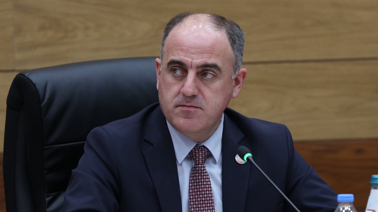 დავით ნარმანია
