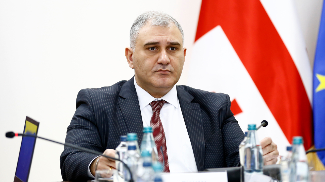 მიხეილ სარჯველაძე