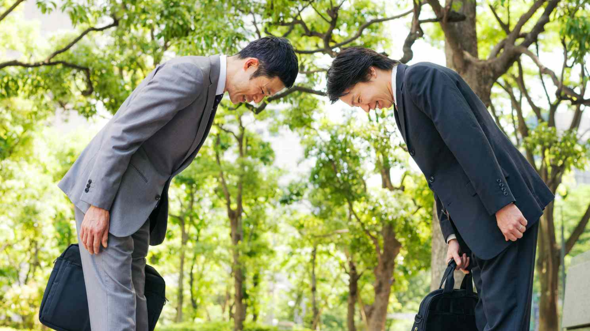 ქირიას NEWS შაბლონი