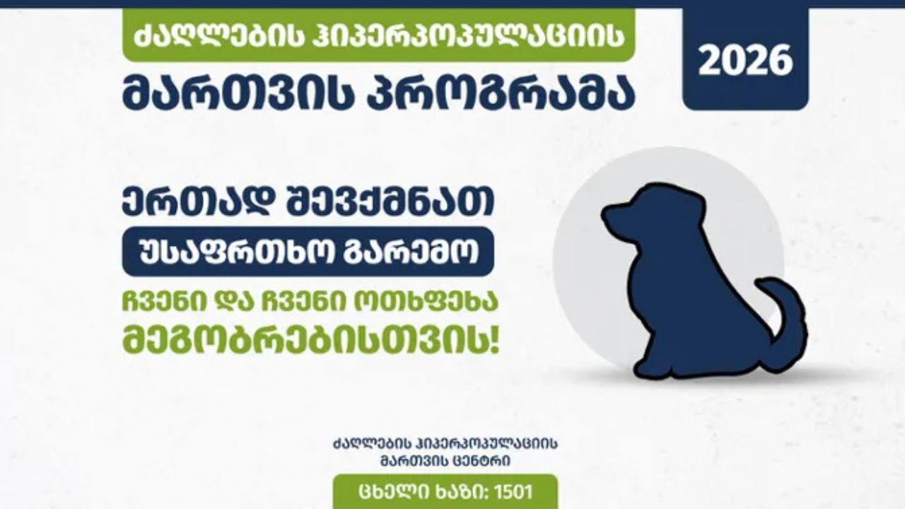 ძაღლები