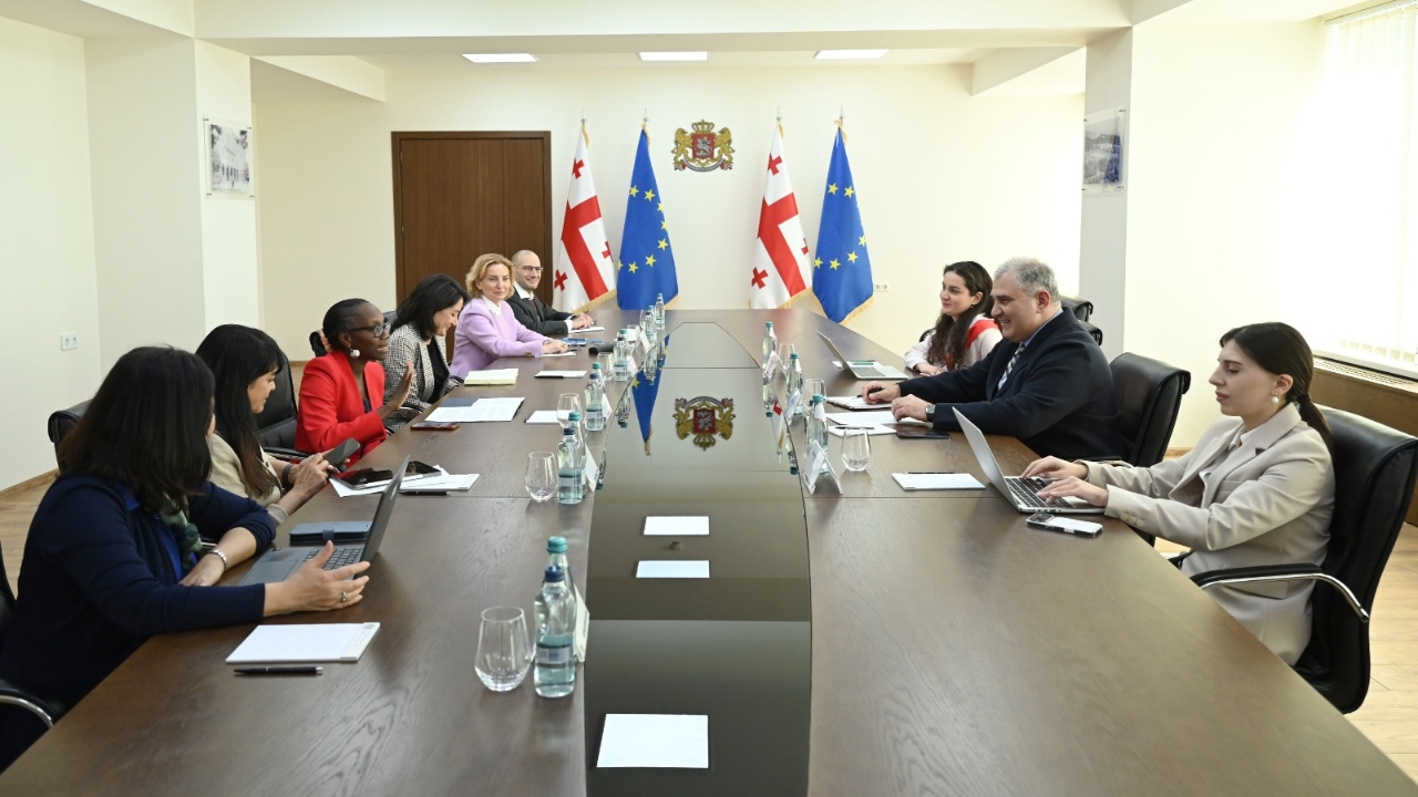 ჯანდაცვის მინისტრი მსოფლიო ბანკის წარმომადგენლებს შეხვდა