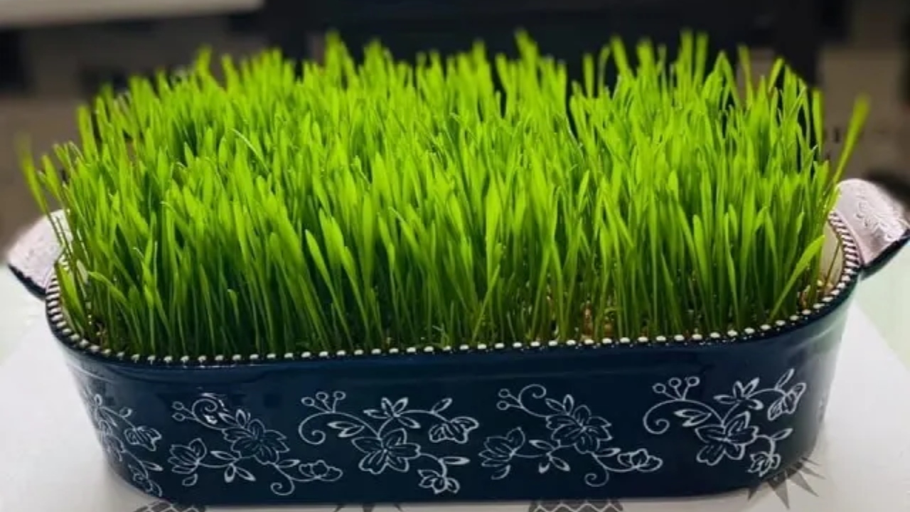 2026-04-07_00-53-57_571075