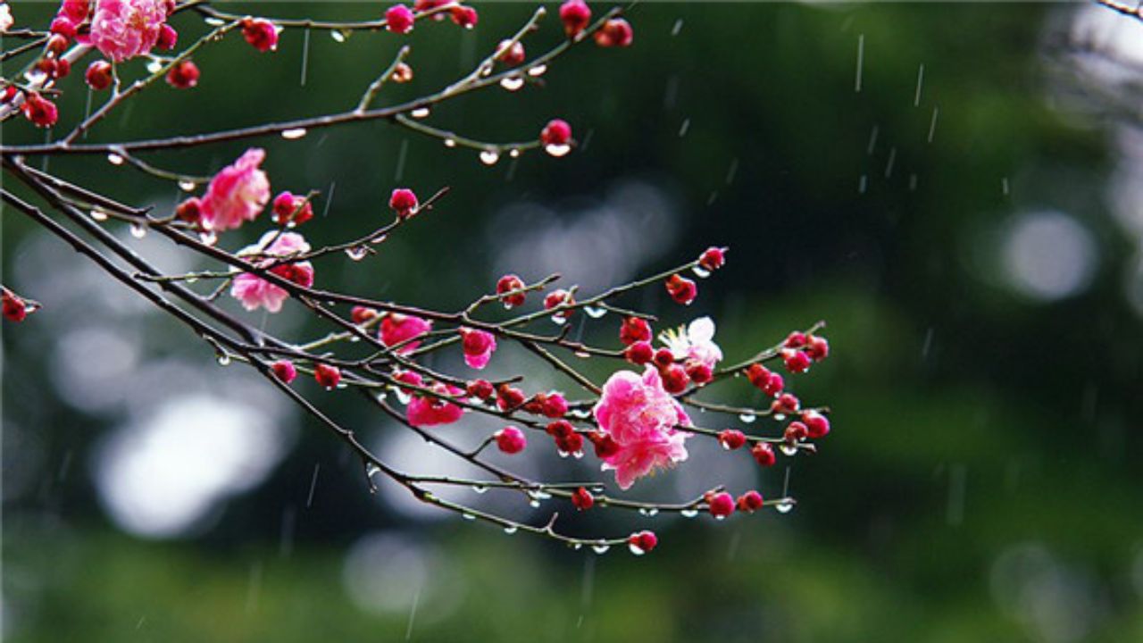 2026-04-08_00-20-05_764856