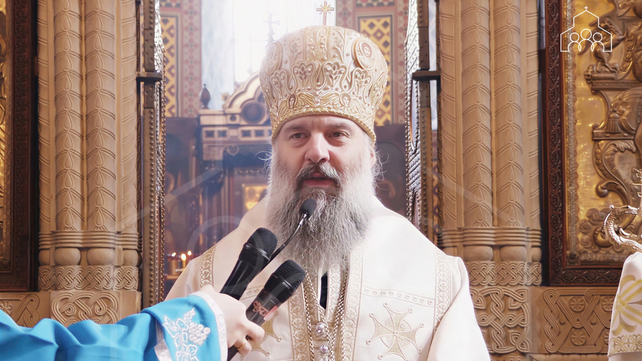 შიო მუჯირი