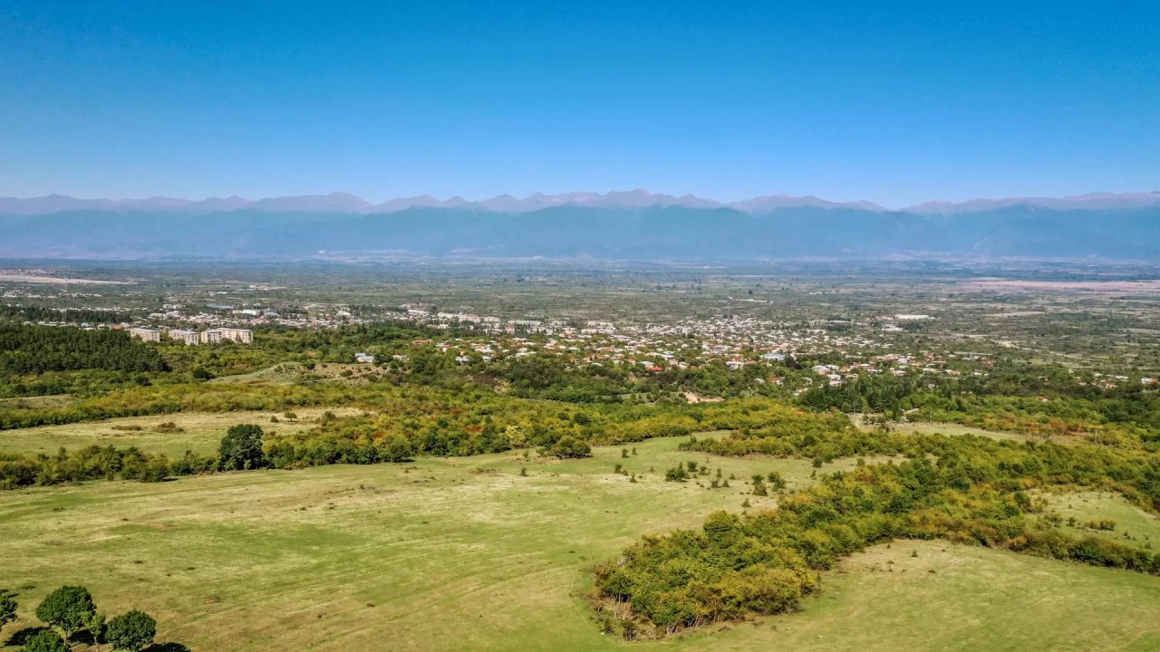 გურჯაანი